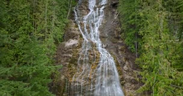 Güzel Şelalenin Hava Manzarası Gelin Şelalesi Parkı Chilliwack British Columbia — Stok video