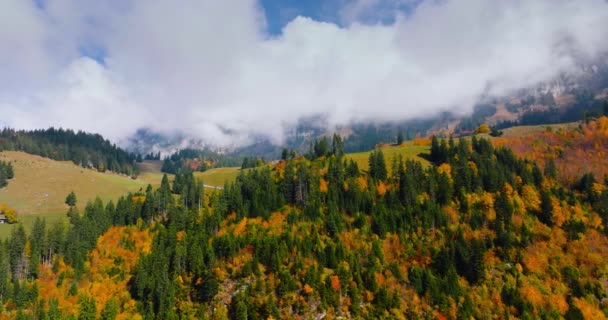 Luchtfoto Van Prachtige Herfst Zwitserse Natuur Zwitserland Beroemde Zwitserse Toeristische — Stockvideo