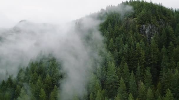 Widok Lotu Ptaka Piękny Krajobraz Górski Mgła Wznosi Się Nad — Wideo stockowe