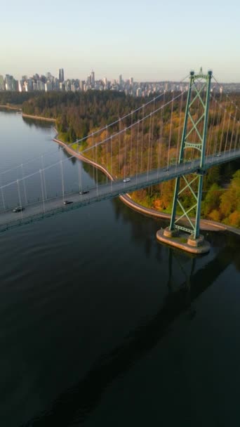 Vertical Video Aerial View Lions Gate Bridge Stanley Park Dawn — Stock Video
