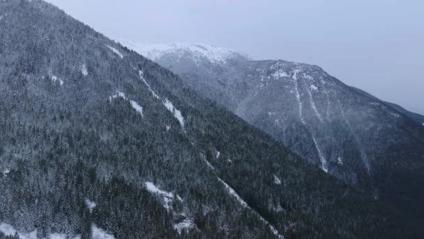 Luftaufnahme Des Winters Felsigen Bergen Düsteren Tag Chilliwack British Columbia — Stockvideo