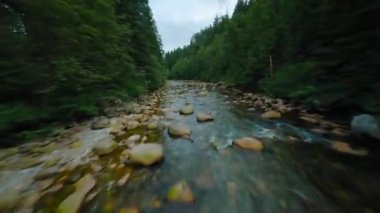 Büyük taşların arasında akan ve kıyılarda ağaçlarla çevrili bir dağ nehrinin üzerinden hızlı bir uçuş. Suya yakın. Vancouver, British Columbia, Kanada. POV FPV insansız hava aracı ile filme alındı.