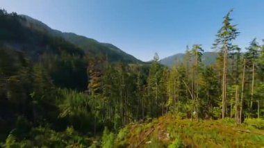 FPV Drone 'la dağ manzarası üzerinde manevra yapılabilir uçuş. Vancouver, British Columbia, Kanada yakınlarında çekilmiş.. 
