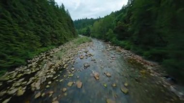 Büyük taşların arasında akan ve kıyılarda ağaçlarla çevrili bir dağ nehrinin üzerinden hızlı bir uçuş. Vancouver, British Columbia, Kanada. POV FPV insansız hava aracı ile filme alındı.