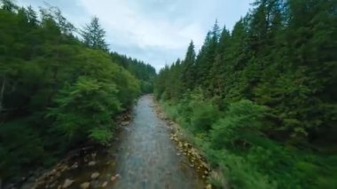 Büyük taşların arasında akan ve kıyılarda ağaçlarla çevrili bir dağ nehrinin üzerinden hızlı bir uçuş. Vancouver, British Columbia, Kanada. POV FPV insansız hava aracı ile filme alındı.