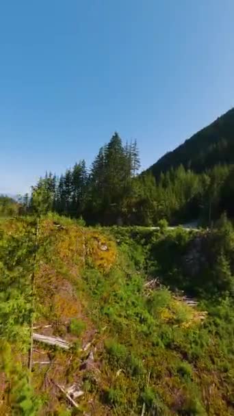 垂直录像 Fpv Drone在山地景观上的可操作飞行 在加拿大不列颠哥伦比亚省温哥华附近拍摄 — 图库视频影像