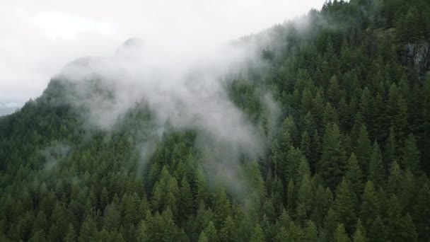 从空中俯瞰美丽的山景 雾在布满针叶林的山坡上升起 加拿大不列颠哥伦比亚省 — 图库视频影像