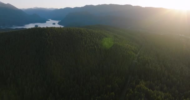 Panorama Luftaufnahme Vom Burnaby Mountain Park Der Deep Cove Bay — Stockvideo