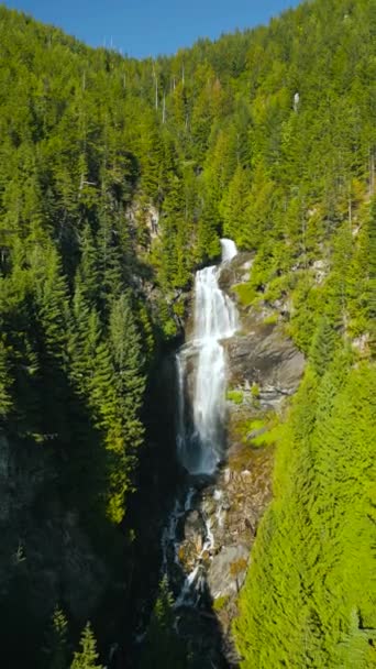 Aerial View Beautiful Waterfall Harrison Lake Located East Vancouver British — Stock Video