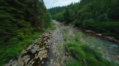 Büyük taşların arasında akan ve kıyılarda ağaçlarla çevrili bir dağ nehrinin üzerinden hızlı bir uçuş. Vancouver, British Columbia, Kanada. POV FPV insansız hava aracı ile filme alındı.