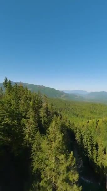 Vertical Video Maneuverable Flight Mountain Landscape Fpv Drone Taken Vancouver — Stock Video