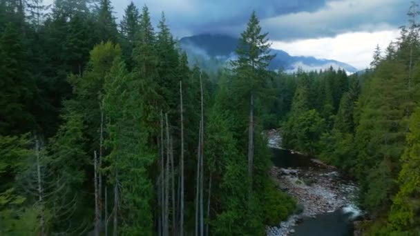 从空中俯瞰美丽的山景 一条山河在高大的树木间奔流 云朵盘旋在布满针叶林的山坡上 Lynn Canyon公园 — 图库视频影像