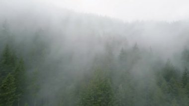 Güzel dağ manzarasının havadan görünüşü. Yağmurdan sonra dağ yamaçlarında kozalaklı ormanlarla kaplı sis yükseliyor. British Columbia, Kanada. Hızlandırılmış video