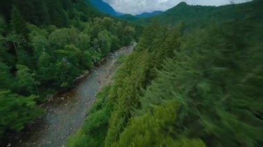 Büyük taşların arasında akan ve kıyılarda ağaçlarla çevrili bir dağ nehrinin üzerinden hızlı bir uçuş. Vancouver, British Columbia, Kanada. POV FPV insansız hava aracı ile filme alındı.