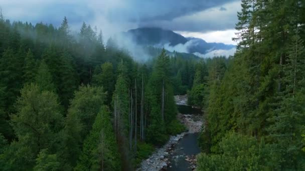 Luftaufnahme Der Wunderschönen Berglandschaft Ein Gebirgsfluss Fließt Zwischen Hohen Bäumen — Stockvideo
