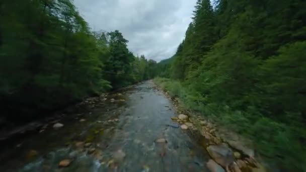 Rychlý Let Přes Horskou Řeku Tekoucí Mezi Velkými Kameny Obklopenou — Stock video