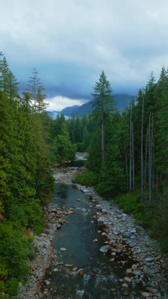 Dikey Video Güzel Dağ Manzarasının Havadan Görünüşü Bir Dağ Nehri — Stok video