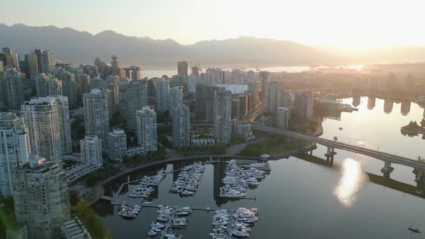 温哥华市中心摩天大楼和码头的空中景观 山是在背景上 加拿大不列颠哥伦比亚省 黎明时分 — 图库视频影像