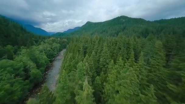 飞驰过山河 流过大石头 被河岸上的树木环绕 加拿大不列颠哥伦比亚省温哥华 用Fpv无人机拍摄的Pov — 图库视频影像