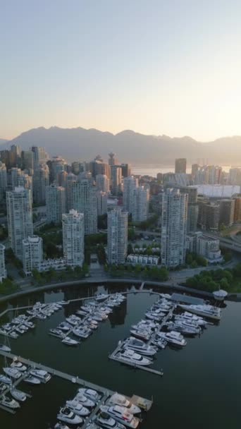 垂直录像 温哥华市中心摩天大楼和码头的空中景观 山是在背景上 加拿大不列颠哥伦比亚省 黎明时分 — 图库视频影像