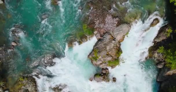 Hızlı Akan Nehrin Rapids Aşağı Manzarası Etrafı Çam Ormanlarıyla Çevrili — Stok video