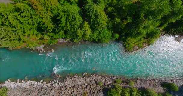 Widok Góry Szybko Poruszającą Się Rzekę Otoczoną Lasem Sosnowym Strzelanina — Wideo stockowe
