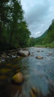 Dikey video. Büyük taşların arasında akan ve kıyılarda ağaçlarla çevrili bir dağ nehrinin üzerinden hızlı bir uçuş. Vancouver, British Columbia, Kanada. POV FPV insansız hava aracı ile filme alındı.