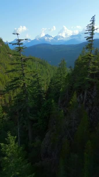 Vertikální Video Letecký Pohled Hory Ledovci Poblíž Squamish British Columbia — Stock video