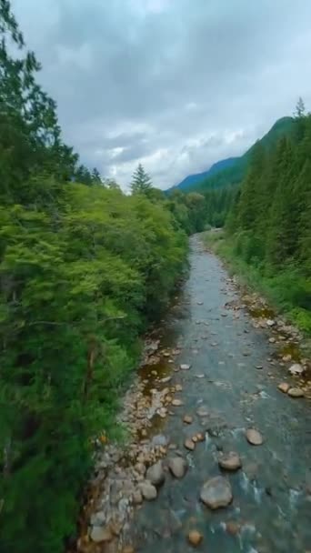 비디오 사이에 흐르는 빠르게 은행에 나무로 둘러싸여 밴쿠버 브리티시컬럼비아 캐나다 — 비디오