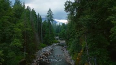 Güzel dağ manzarasının havadan görünüşü. Bir dağ nehri uzun ağaçların arasından akar, bulutlar dağların üzerinde süzülür yağmurdan sonra kozalaklı ormanlarla kaplıdır. Lynn Canyon Parkı, İngiliz