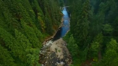 Büyük taşların arasında akan ve kıyılarda ağaçlarla çevrili bir dağ nehrinin üzerinden hızlı bir uçuş. Vancouver, British Columbia, Kanada. POV FPV insansız hava aracı ile filme alındı.