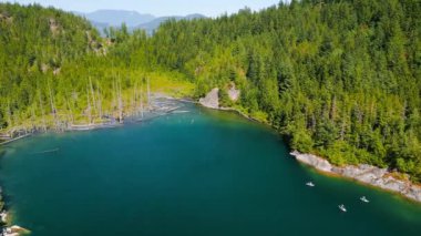 Güneşli bir günde ormandaki gizli gölün hava manzarası, kırık ağaç gövdeleri suda yüzüyor. Kanada 'nın çarpıcı doğası.