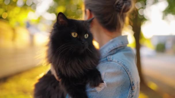 Mujer Hermosa Sosteniendo Abrazando Gato Negro Aire Libre Gato Maullidos — Vídeos de Stock