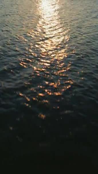 垂直录像 日落时的蓝色海面或海洋的空中视图 太阳在波浪上反射和闪耀 照亮了金色的大海 — 图库视频影像