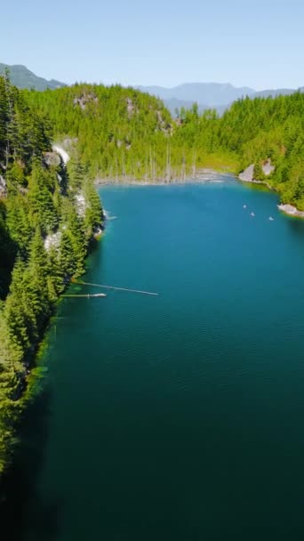 垂直录像 阳光明媚的天空中隐藏着湖水的风景 破碎的树干漂浮在水面上 加拿大的排斥性质 — 图库视频影像