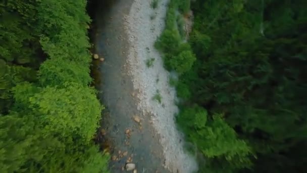 사이에 흐르는 빠르게 은행에 나무로 둘러싸여 밴쿠버 브리티시컬럼비아 캐나다 Fpv — 비디오