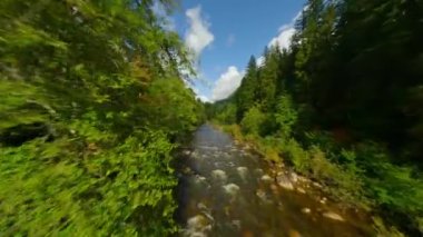 FPV insansız hava aracıyla büyük taşların arasında akan ve kıyılarda ağaçlarla çevrili bir dağ nehri üzerinde hızlı bir uçuş. Vancouver, British Columbia, Kanada. 
