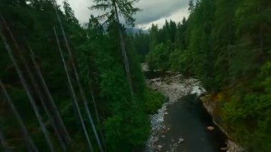 Büyük taşların arasında akan ve kıyılarda ağaçlarla çevrili bir dağ nehrinin üzerinden hızlı bir uçuş. Vancouver, British Columbia, Kanada. POV FPV insansız hava aracı ile filme alındı.