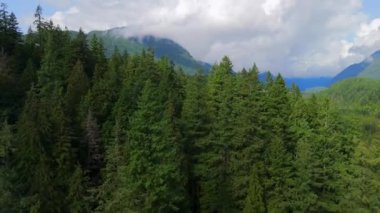 Kanada dağlarının sonbahar bulutlu günlerdeki hava manzarası. Vancouver yakınlarında çekilmiş, British Columbia, Kanada. Doğa Arkaplanı.