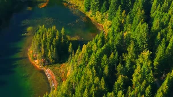 휘슬러 산에서 호수의 캐나다 자연입니다 브리티시컬럼비아 캐나다 — 비디오