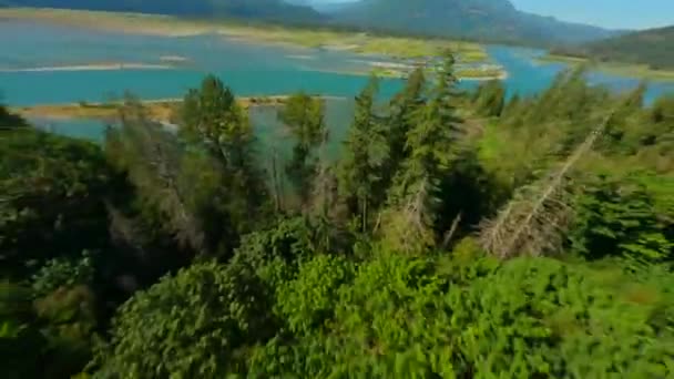 Вид Воздуха Долину Реки Фрейзер Горный Пейзаж Британской Колумбии Канада — стоковое видео