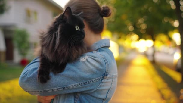 Mujer Hermosa Sosteniendo Abrazando Gato Negro Aire Libre Gato Huele — Vídeo de stock