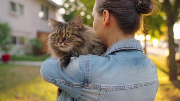 Hermosa Mujer Sosteniendo Abrazando Gato Tabby Aire Libre Gato Huele — Vídeo de stock