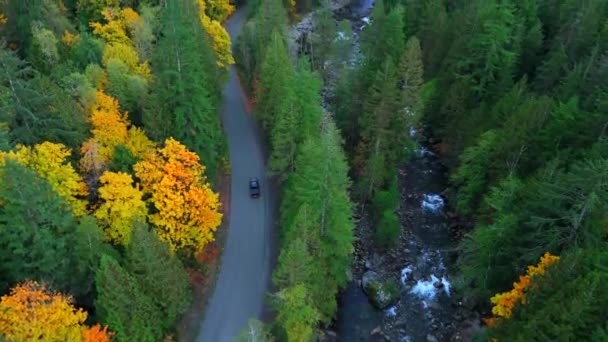 Сверху Вниз Вид Автомобилей Едущих Дороге Горах Среди Осеннего Леса — стоковое видео
