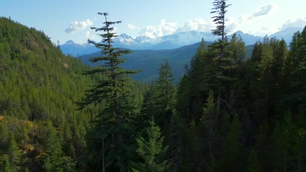 Vista Aérea Montanhas Com Geleiras Perto Squamish British Columbia Canadá — Vídeo de Stock
