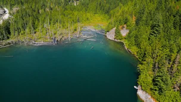 Εναέρια Τοπίο Της Κρυμμένης Λίμνης Στο Δάσος Την Ηλιόλουστη Μέρα — Αρχείο Βίντεο