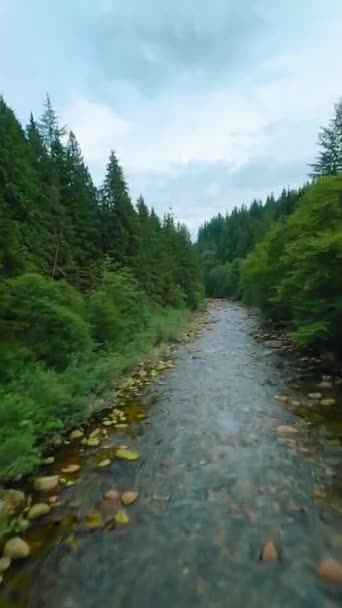 垂直录像 飞驰过山河 流过大石头 被河岸上的树木环绕 加拿大不列颠哥伦比亚省温哥华 用Fpv无人机拍摄的Pov — 图库视频影像