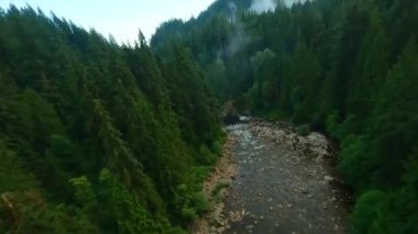 Büyük taşların arasında akan ve kıyılarda ağaçlarla çevrili bir dağ nehrinin üzerinden hızlı bir uçuş. Vancouver, British Columbia, Kanada. POV FPV insansız hava aracı ile filme alındı.