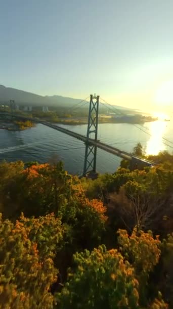 Video Verticale Volo Con Drone Fpv Vicino Lions Gate Bridge — Video Stock