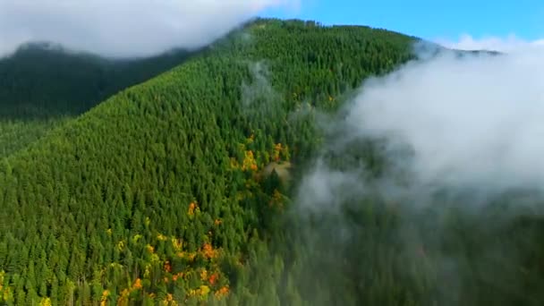 ใบไม วงท สวยงามในแคนาดา ชโคล มเบ มมองทางอากาศของป นบนเน นเขาและท องฟ าเมฆ — วีดีโอสต็อก